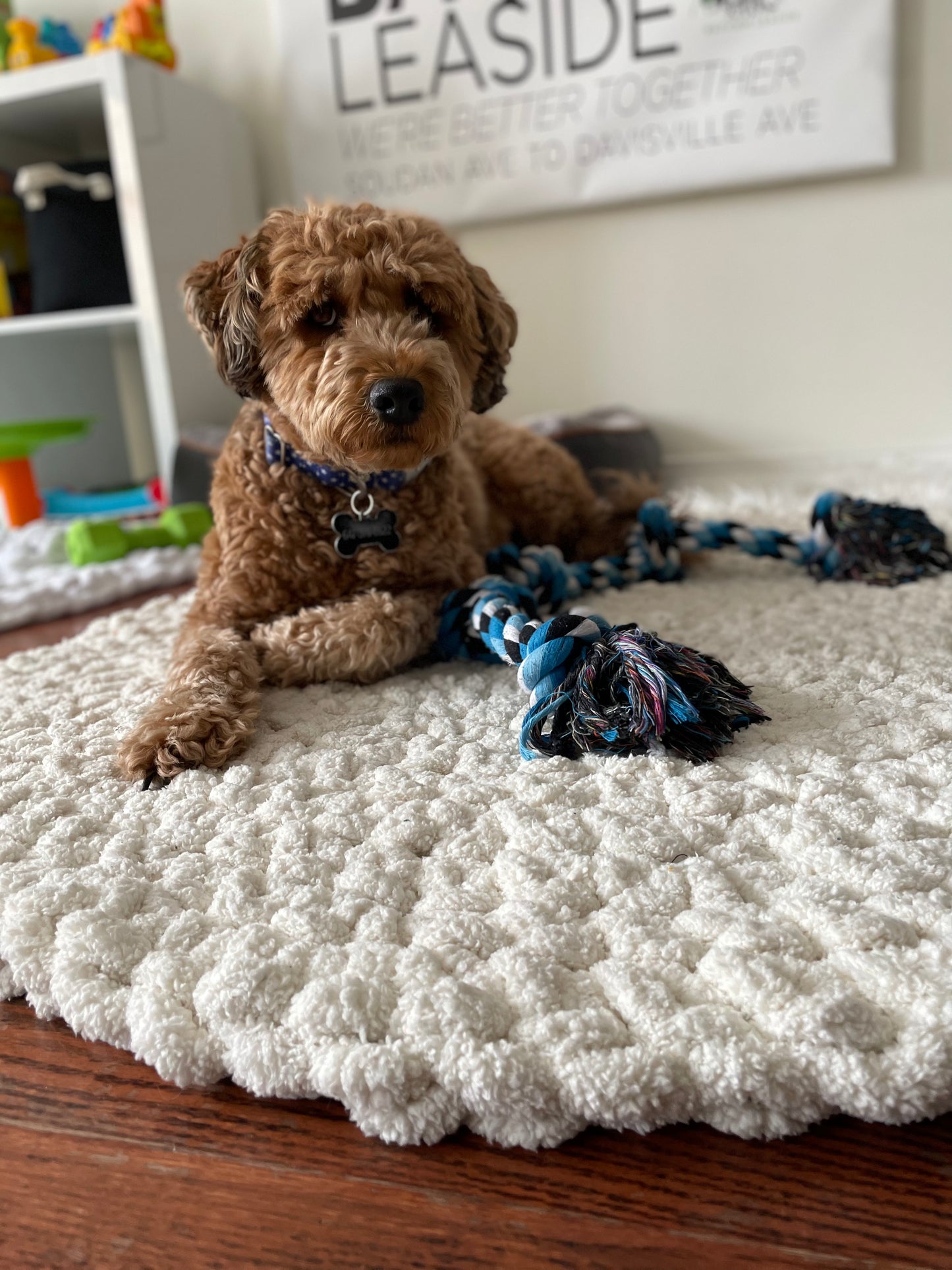 Circle Rug , Pet Bed